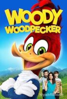 Agaçkakan Woody 2017