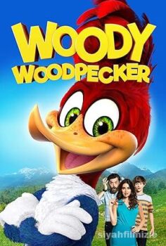 Agaçkakan Woody 2017