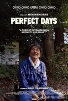 Perfect Days 2023