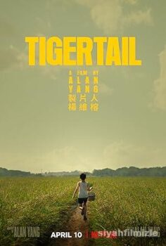 Tigertail 2020